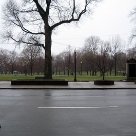 Boston Common, Boston Photo #9 by apium from flickr