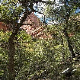 Fay Canyon Trail, Sedona Photo #7 by Deborah Lee Soltesz from flickr