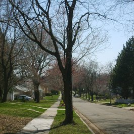 Lansing, Michigan Photo #6 by RP Norris from flickr