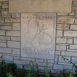 Butterfly Conservatory, Niagara Falls Photo #9 by Michael Gray from flickr