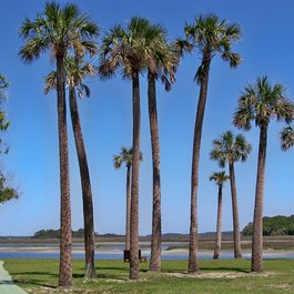 Kingsley Plantation, Jacksonville Photo #7 by Jon Dawson from flickr