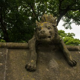 Bute Park, Bristol Photo #6 by Alexey Komarov from flickr