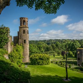 Blarney Castle, Cork Photo #7 by Ron Kroetz from flickr