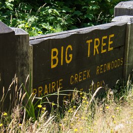 Klamath, Crescent City Photo #8 by m01229 from flickr