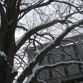 Brown University, Providence Photo #5 by David Hilowitz from flickr