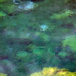 Hot Springs State Park, Thermopolis Photo #8 by Charles Willgren from flickr