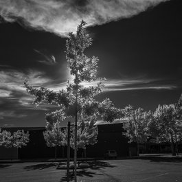 Country Club Plaza, Kansas Photo #1 by Robert Couse-Baker from flickr