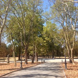 Parco Ducale, Parma Photo #8 by Philip Mallis from flickr