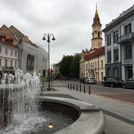 Vilnius University, Vilnius Photo #7 by Sergei Gussev from flickr