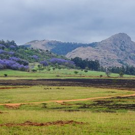 Manzini, Swaziland Photo #6 by Jean-Marc Astesana from flickr
