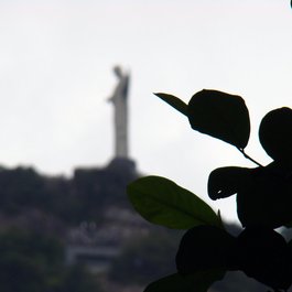 Corcovado National Park, Costa Rica Photo #4 by Rodrigo Soldon from flickr