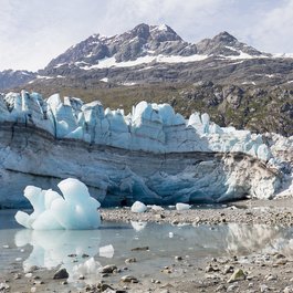 Lamplugh Glacier, Glacier Bay National Park Photo #3 by Matt Zimmerman from flickr