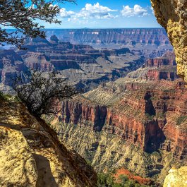 North Rim, Grand Canyon National Park Photo #8 by Kevin Dooley from flickr