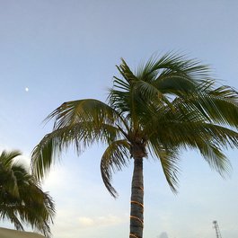 Islamorada, Marathon Photo #9 by vishpool from flickr