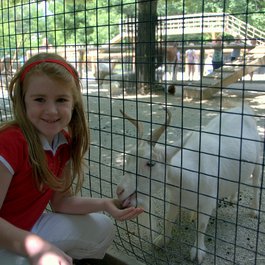 Iowa itinerary, Blank Park Zoo