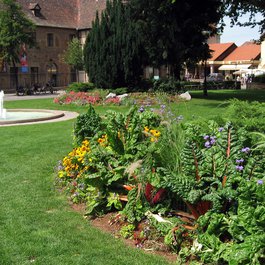 Unterlinden Museum, Colmar Photo #9 by Will Bakker from flickr