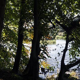 Seaton Park Aberdeen, Aberdeen Photo #7 by stu smith from flickr