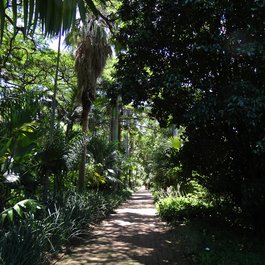 Durban Botanic Gardens, Durban Photo #2 by Esther Westerveld from flickr