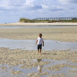 Pawleys Island, South Carolina Photo #6 by Tommy Wooten from flickr
