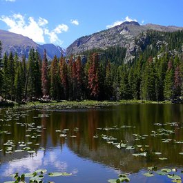 Nymph Lake, Rocky Mountain National Park Photo #7 by F Delventhal from flickr