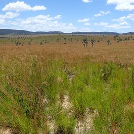 Isalo, Madagascar Photo #4 by Bat from flickr