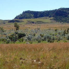 Isalo, Madagascar Photo #9 by Bat from flickr
