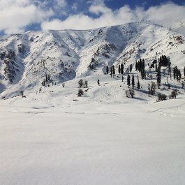 Gulmarg, Srinagar Photo #6 by vijaymverma from flickr