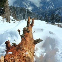 Gulmarg, Srinagar Photo #9 by vijaymverma from flickr