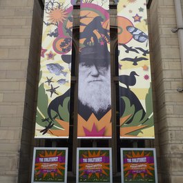 Manchester itinerary, Manchester Museum