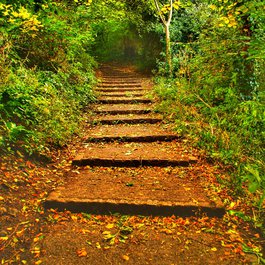 Blaise Castle Estate, Bristol Photo #4 by Luke Andrew Scowen from flickr