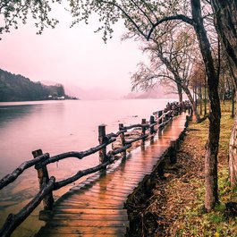 Nami Island, South Korea Photo #1 by Giuseppe Milo from flickr