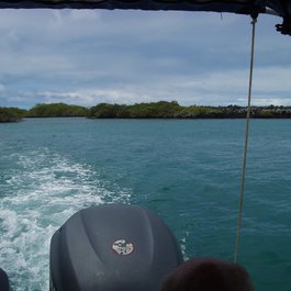 Puerto Villamil, Galapagos Islands Photo #1 by Ivar Abrahamsen from flickr