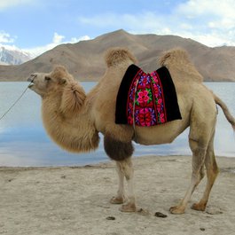 Karakol, Kyrgyzstan Photo #4 by David Stanley from flickr