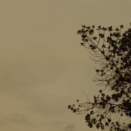 Valle Del Cauca, Colombia Photo #5 by Cristian Ordoñez from flickr
