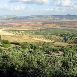 Dougga, Tunisia Photo #2 by David Stanley from flickr