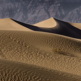 Mesquite Flat Sand Dunes, Death Valley National Park Photo #4 by Jan Arendtsz from flickr