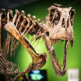 Science Center Of Iowa, Des Moines Photo #4 by Phil Roeder from flickr