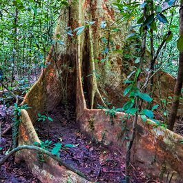 Puerto Princesa Subterranean River National Park, Puerto Princesa Photo #3 by Dan Lundberg from flickr