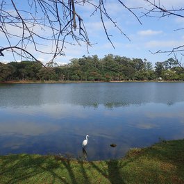 Ibirapuera Park, Sao Paulo Photo #9 by DocinhoLelê from flickr