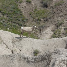 Big Badlands Overlook, Badlands National Park Photo #4 by jb10okie from flickr