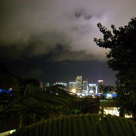 Jungle Island, Miami Photo #6 by mxmstryo from flickr