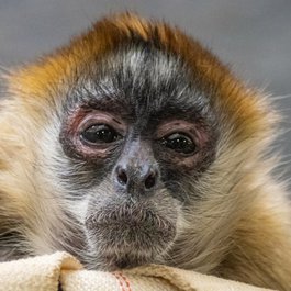 Milwaukee County Zoo, Milwaukee Photo #9 by Jim Bauer from flickr