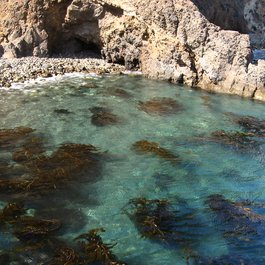 Channel Islands National Park, California Photo #9 by Ken Lund from flickr