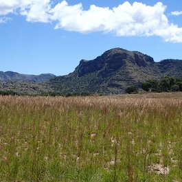 Isalo, Madagascar Photo #6 by Bat from flickr