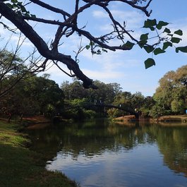 Ibirapuera Park, Sao Paulo Photo #7 by DocinhoLelê from flickr