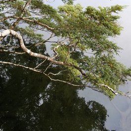 Mirror Lakes, Te Anau Photo #3 by John Fowler from flickr