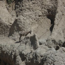 Big Badlands Overlook, Badlands National Park Photo #6 by jb10okie from flickr