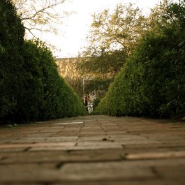 Cummer Museum Of Art & Gardens, Jacksonville Photo #3 by Landon from flickr