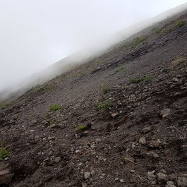 Mount Vesuvius, Naples Photo #7 by Matt Boulton from flickr