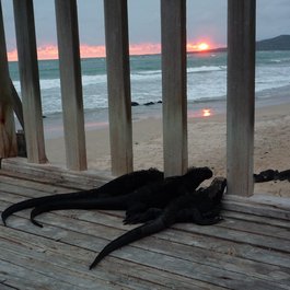 Puerto Villamil, Galapagos Islands Photo #7 by Michael R Perry from flickr